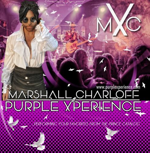 The Purple Xperience poster