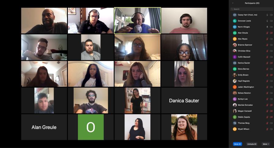 screenshot of the videoconference