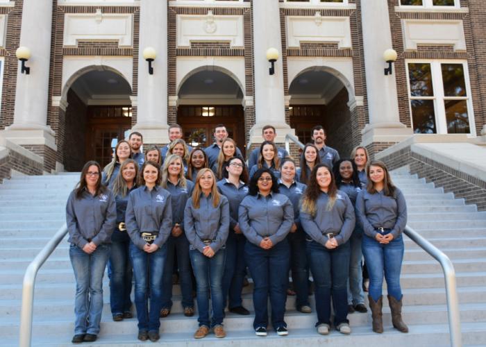 SFA students enrolled in the advanced beef science course