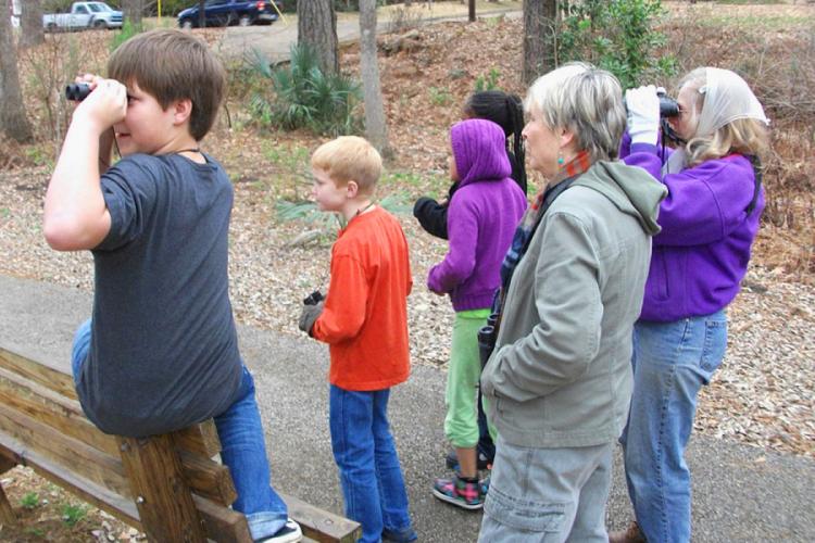 photo from the Great Backyard Bird Count of 2014