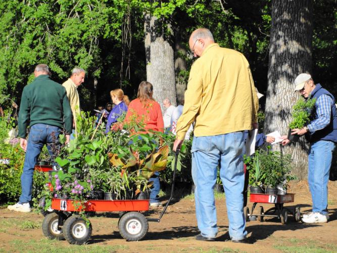 people buying plants at last year's Spring Plant Sale