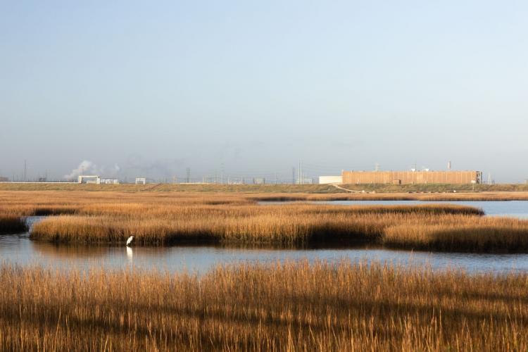 a photo by SFA art professor Amanda Breitbach with an egret among marshes in the foreground against a petrochemical factory in the background 