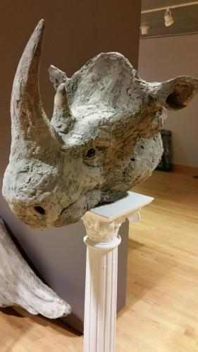 sculpture of a rhinocerus head