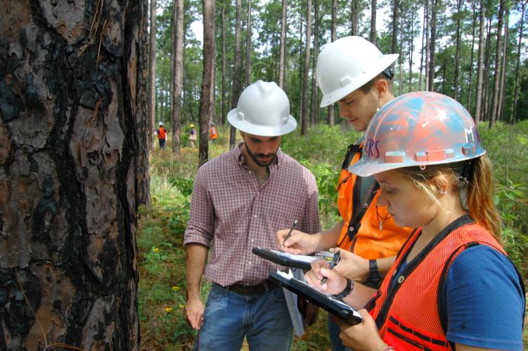 SFA forestry students in the field