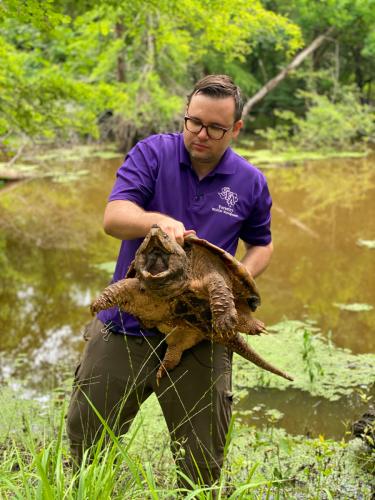 Dr. Christopher Schalk, assistant professor of forest wildlife management at SFA, prepares to release one of the turtles back into its native habitat.