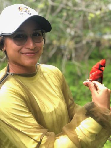 Alejandra Martinez, SFA forestry graduate student, holding a Northern cardinal