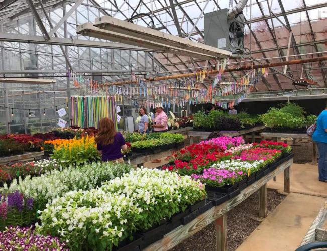 Stephen F. Austin State University’s horticulture program annual Spring Plant Fair
