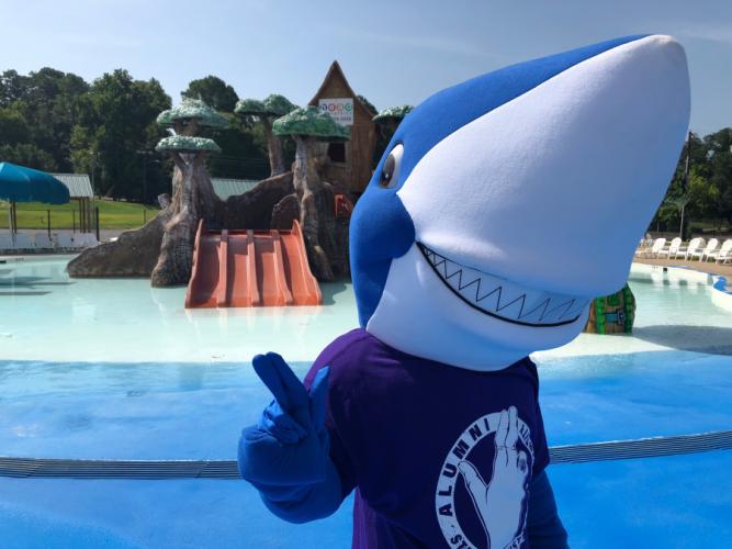 alumni blue shark standing in front of Splash Kingdom Timber Falls in Nacogdoches