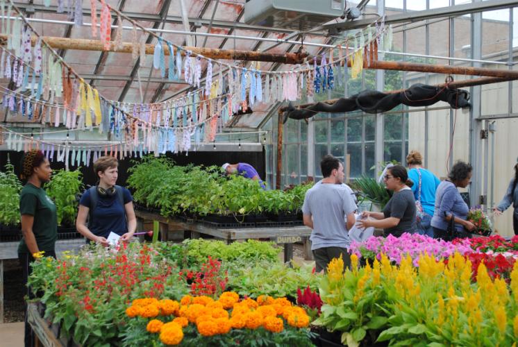 horticulture students tending to summer annuals being grown at the Plantery
