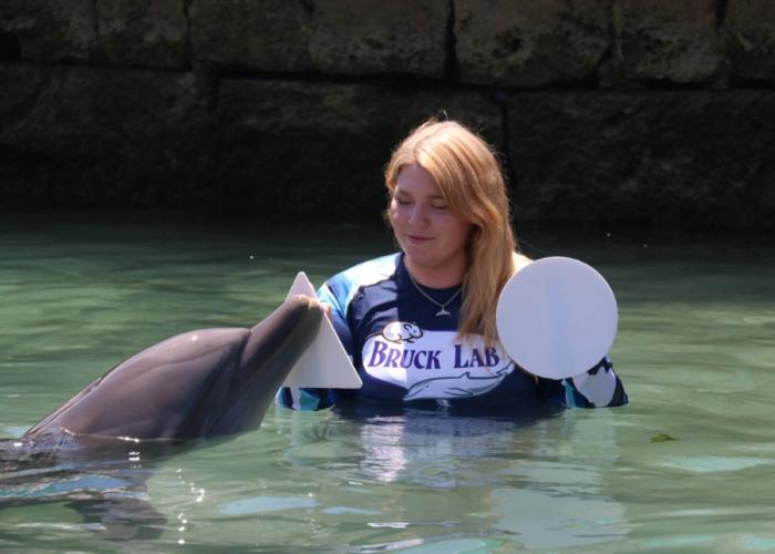 Paige Stevens, a doctoral candidate working with Bruck Lab, administers a cognition test on a dolphin at Dolphin Quest Bermuda.