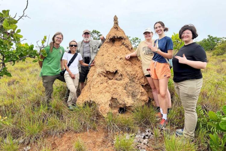 Faculty and students from Stephen F. Austin State University stand next to a termite mound in Guyana, South America.