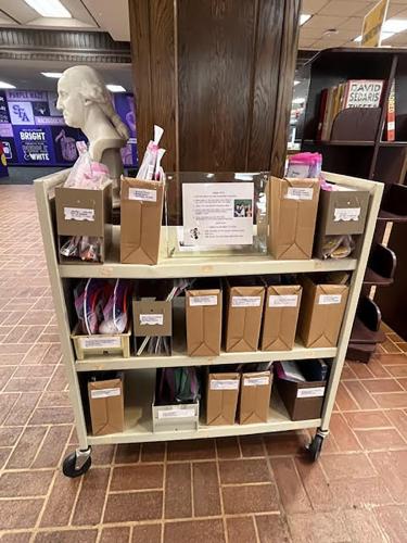Literacy activity kits for kids are displayed on a cart in Steen Library.