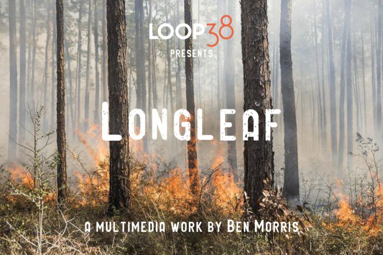 "Longleaf" promotional poster