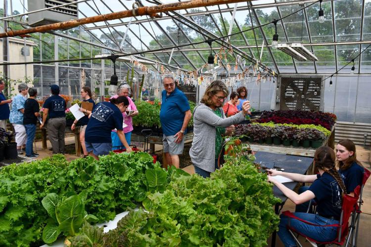 customers shopping for plants during the 2023 Spring Plant Fair