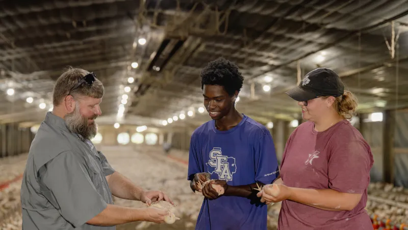 Students and faculty member holding chickens