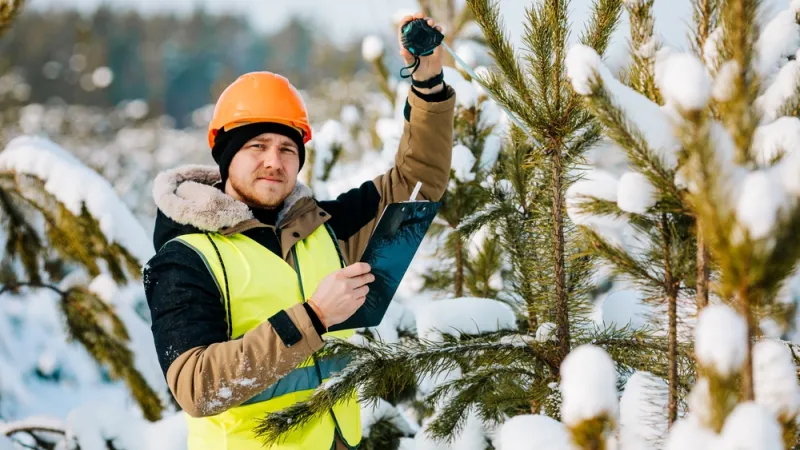 The forestry inspector inspects the forest lands