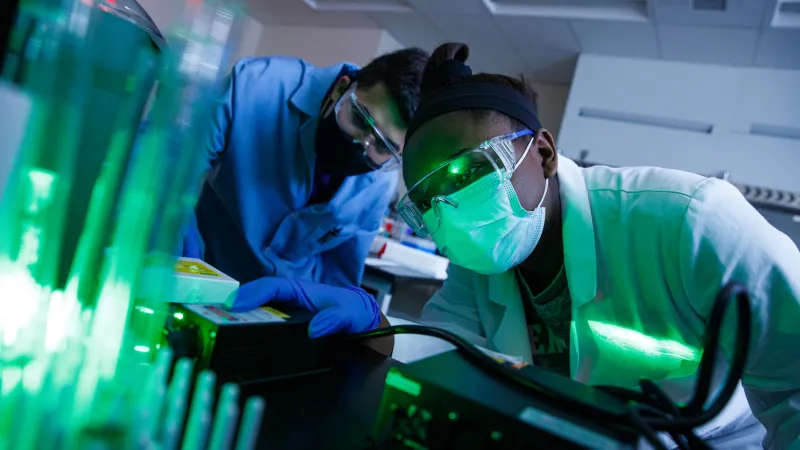 Students looking at samples under green light