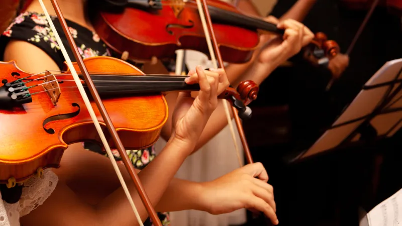 Row, group of anonymous violin players