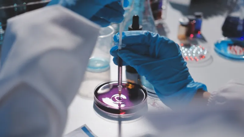 Researchers working in the clinical laboratory