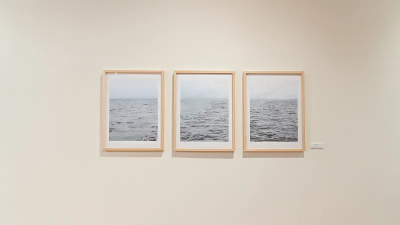 Photography shown at an exhibition