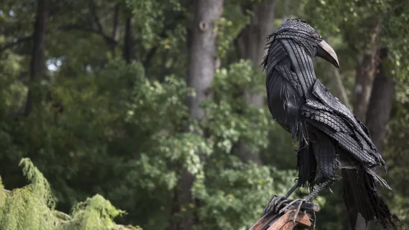 raven sculpture in the Mize Garden on campus