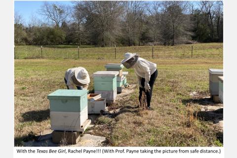with the Texas Bee Girl, Rachel Payne (with Prof. Payne taking the picture from a safe distance)