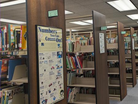 Juvenile non-fiction 