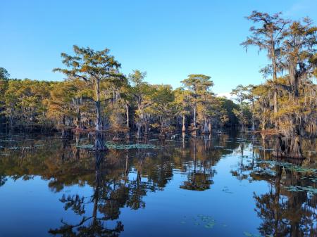 Caddo Lake State Park