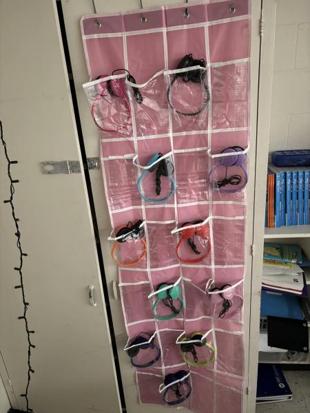 Materials purchased using Project Raices classroom implementation grant.