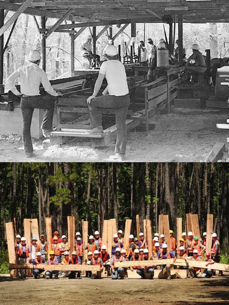 TOP: Forestry students work on the sawmill at Milam Summer Camp, which closed in 1986 and was an earlier iteration of the popular six-week field station that provides current students with hands-on learning. BOTTOM: SFA's renowned six-week field station has students engage in the entire process of timber management and processing. As a recognition of this effort, students leave the station with a plank of wood they have fully processed themselves.