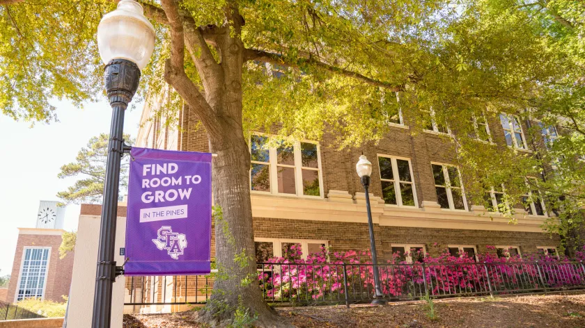 Campus view with azaleas and a lamppost banner