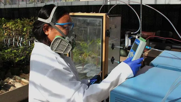 Student working an lab with purifier mask