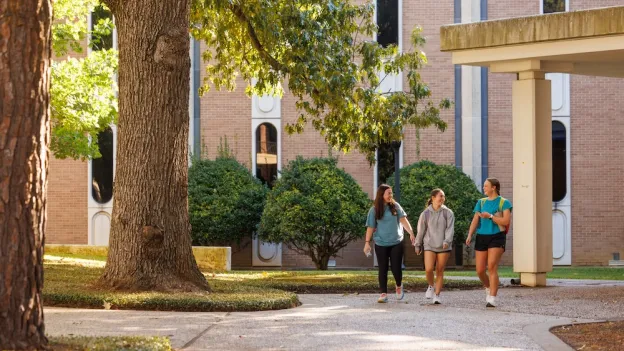Three students walking in the shade