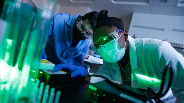 Students looking at samples under green light