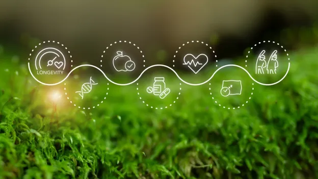 Wellness and longevity icons along a wave path over a natural green background