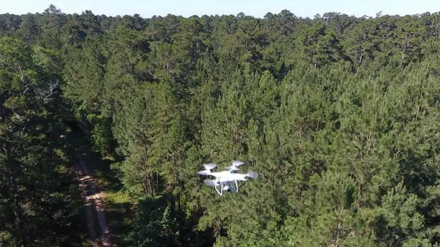 Drone flying above tree line