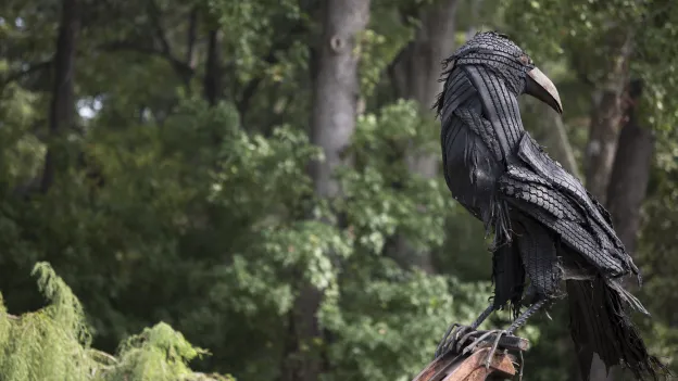 raven sculpture in the Mize Garden on campus