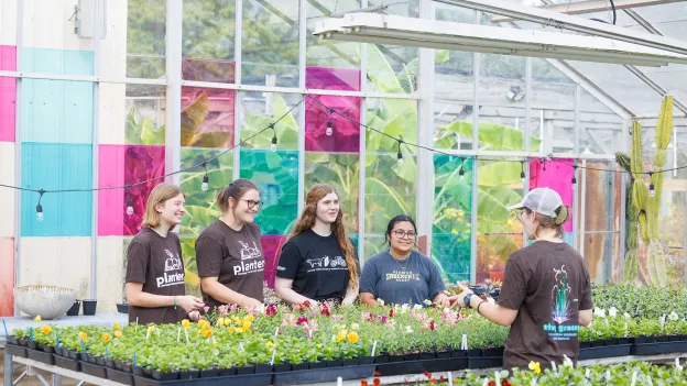 SFA horticulture students work together on a project with potted plants
