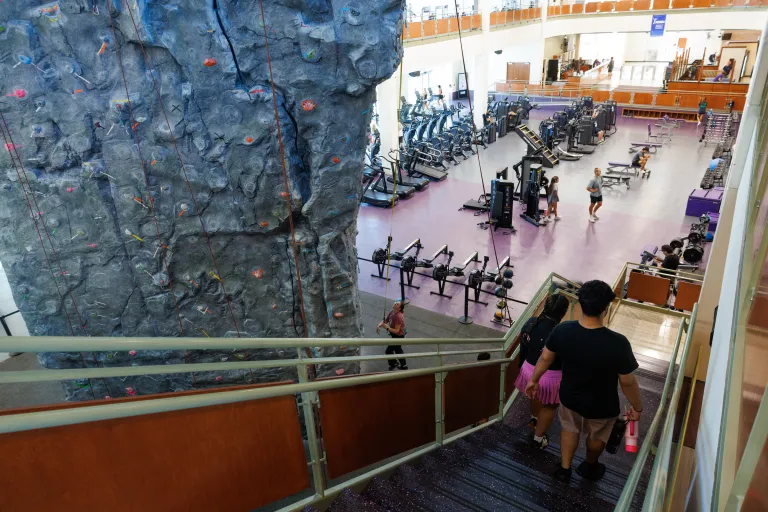 View of the cardio equipment and rock wall