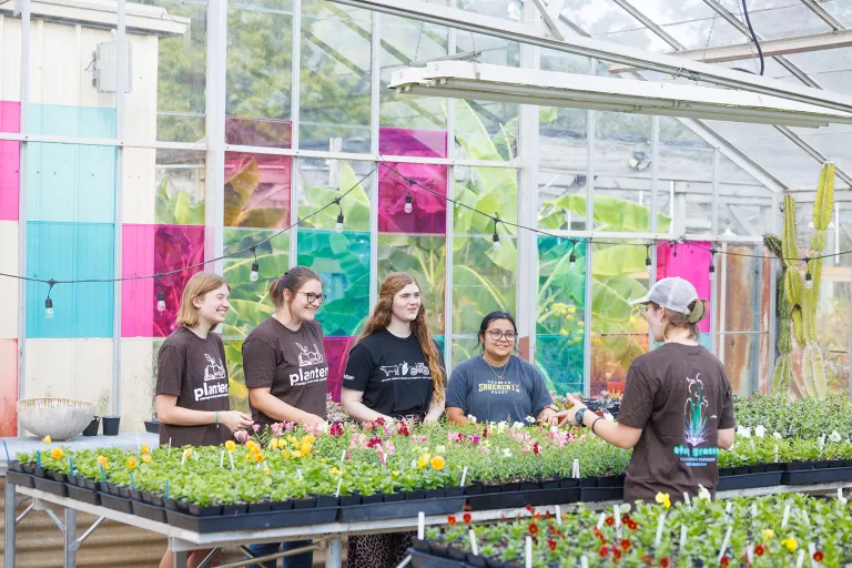 SFA horticulture students work together on a project with potted plants