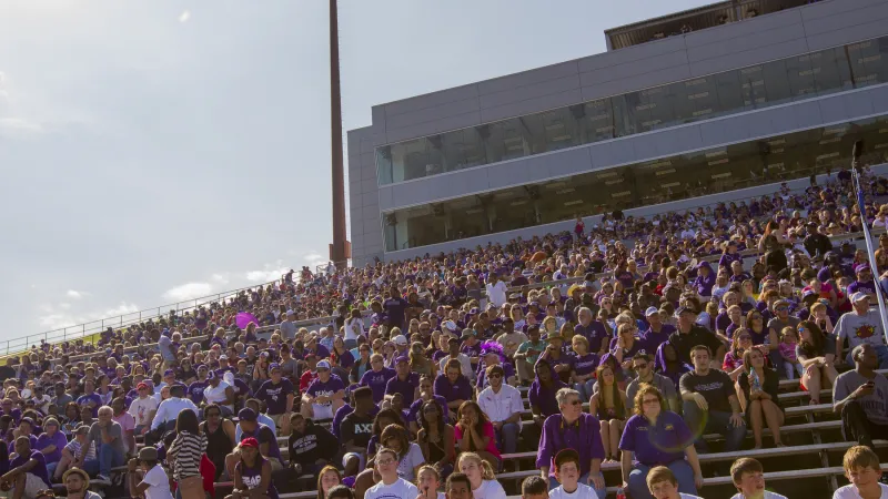 Crowd at Stadium game