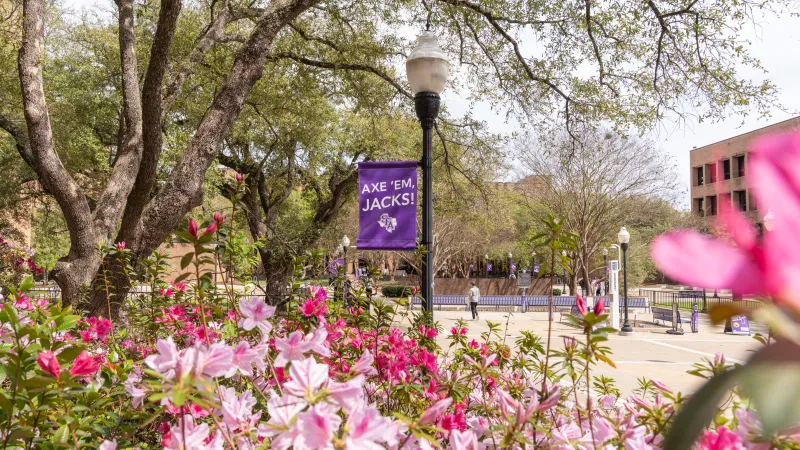 SFA campus with azalea blooms and a purple Axe 'em, Jacks flag