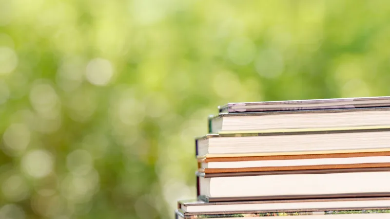 stack of books on a brick wall outside