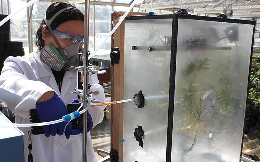 SFA Biology Students