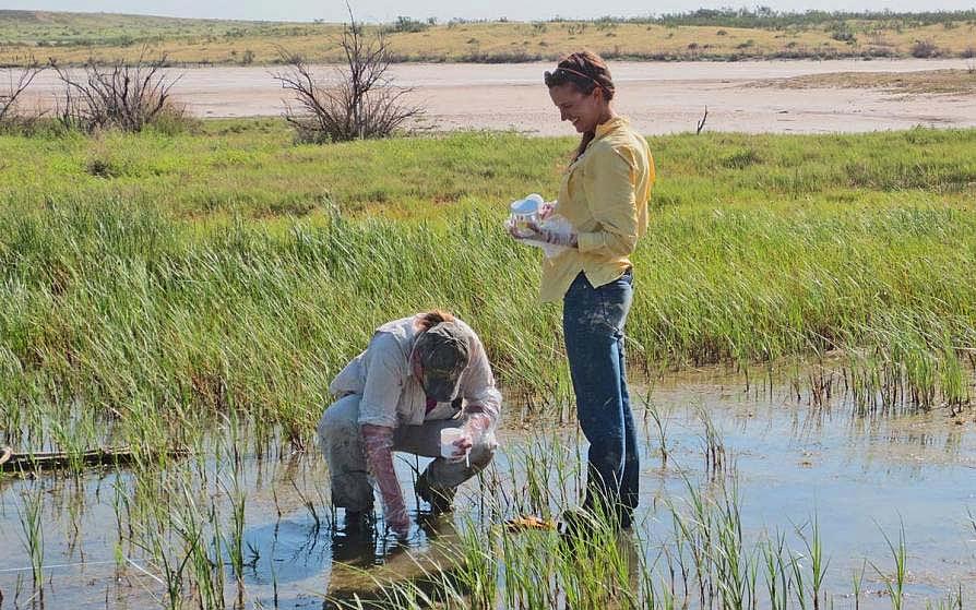 Land, air and water resources