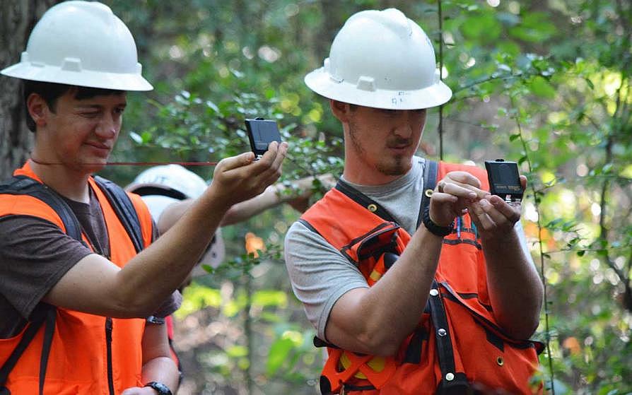 two forestry students
