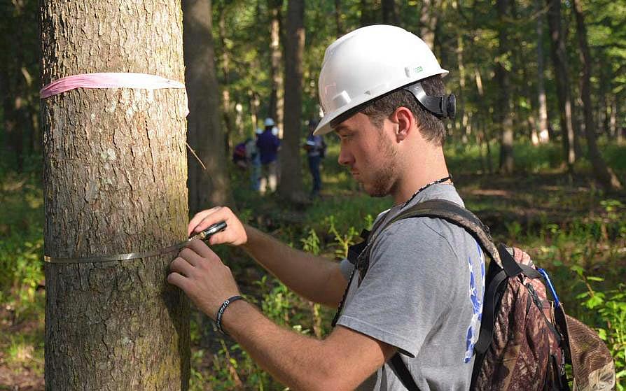 forestry student