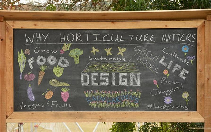 Chalkboard with drawings of vegetables and flowers