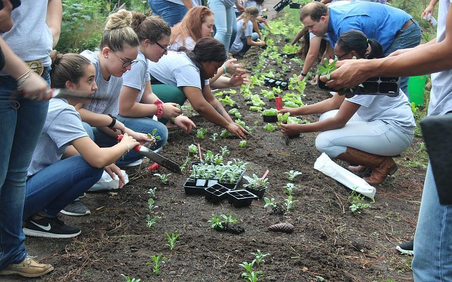 students planting