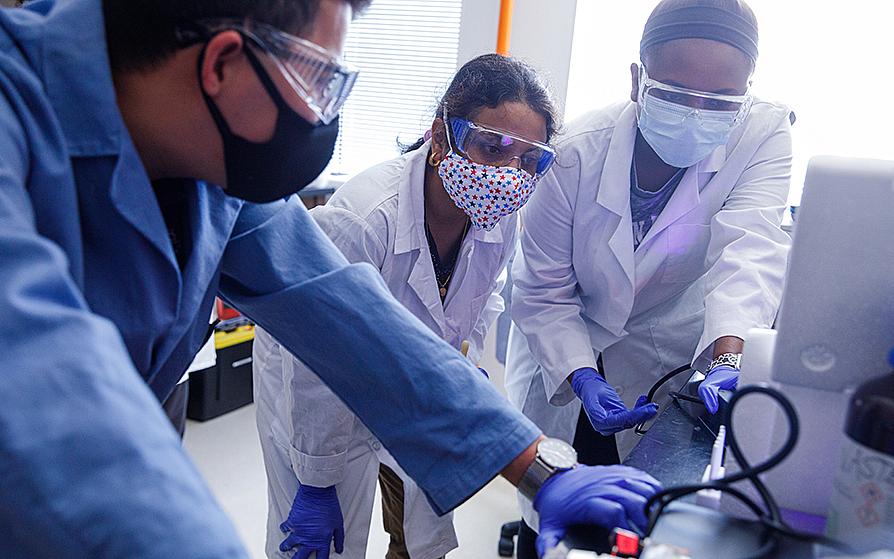 Chemistry students working with chemicals in a lab